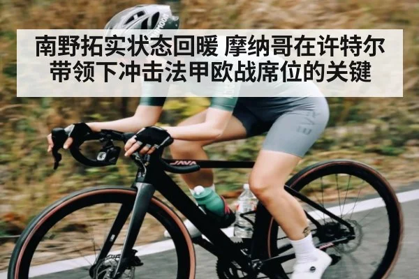 南野拓实状态回暖 摩纳哥在许特尔带领下冲击法甲欧战席位的关键